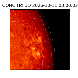 gong - 2026-10-11T03:00:02