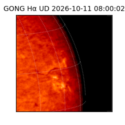 gong - 2026-10-11T08:00:02