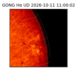 gong - 2026-10-11T11:00:02