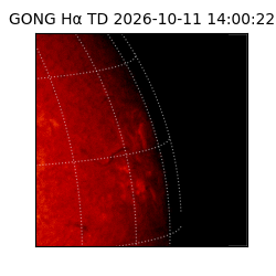 gong - 2026-10-11T14:00:22