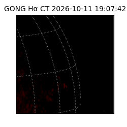 gong - 2026-10-11T19:07:42