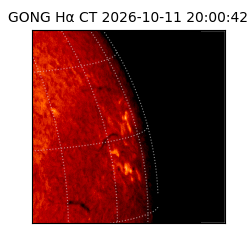 gong - 2026-10-11T20:00:42