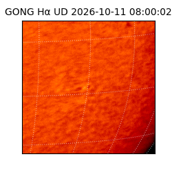 gong - 2026-10-11T08:00:02