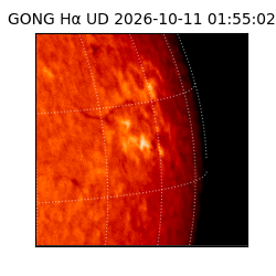 gong - 2026-10-11T01:55:02