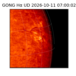 gong - 2026-10-11T07:00:02