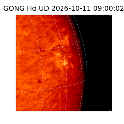 gong - 2026-10-11T09:00:02