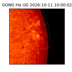 gong - 2026-10-11T10:00:02