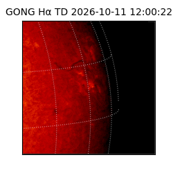 gong - 2026-10-11T12:00:22