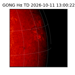 gong - 2026-10-11T13:00:22