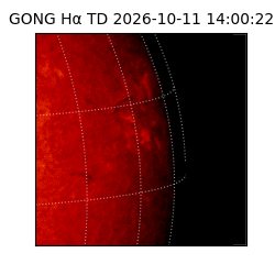 gong - 2026-10-11T14:00:22