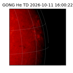 gong - 2026-10-11T16:00:22