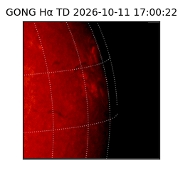 gong - 2026-10-11T17:00:22