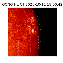 gong - 2026-10-11T18:00:42