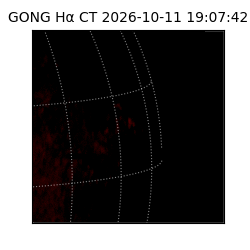 gong - 2026-10-11T19:07:42