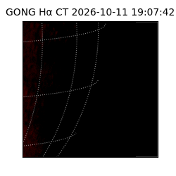 gong - 2026-10-11T19:07:42