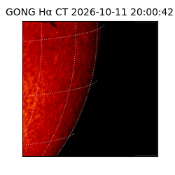 gong - 2026-10-11T20:00:42