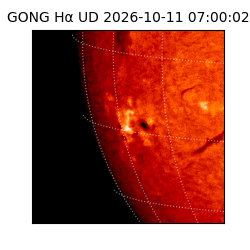 gong - 2026-10-11T07:00:02