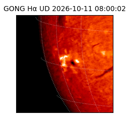 gong - 2026-10-11T08:00:02
