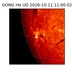 gong - 2026-10-11T11:00:02