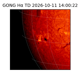gong - 2026-10-11T14:00:22