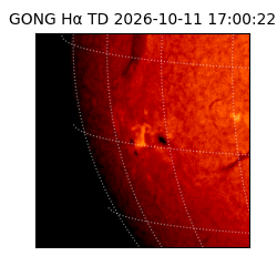 gong - 2026-10-11T17:00:22