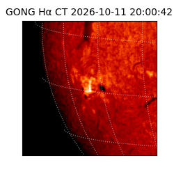 gong - 2026-10-11T20:00:42