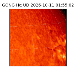 gong - 2026-10-11T01:55:02