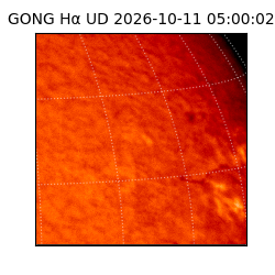gong - 2026-10-11T05:00:02