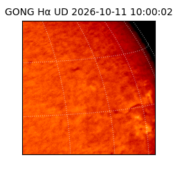 gong - 2026-10-11T10:00:02