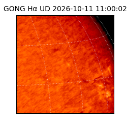 gong - 2026-10-11T11:00:02