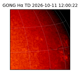 gong - 2026-10-11T12:00:22