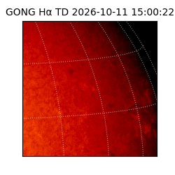 gong - 2026-10-11T15:00:22