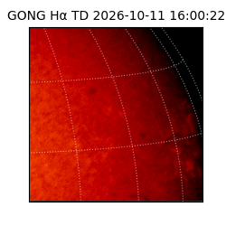 gong - 2026-10-11T16:00:22