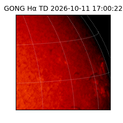 gong - 2026-10-11T17:00:22