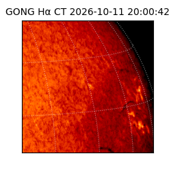 gong - 2026-10-11T20:00:42