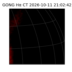 gong - 2026-10-11T21:02:42