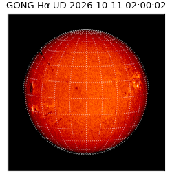 gong - 2026-10-11T02:00:02