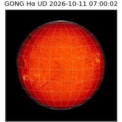 gong - 2026-10-11T07:00:02