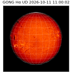 gong - 2026-10-11T11:00:02