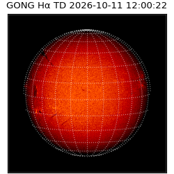 gong - 2026-10-11T12:00:22