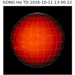 gong - 2026-10-11T13:00:22