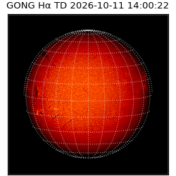 gong - 2026-10-11T14:00:22