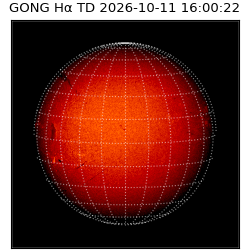 gong - 2026-10-11T16:00:22