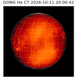 gong - 2026-10-11T20:00:42