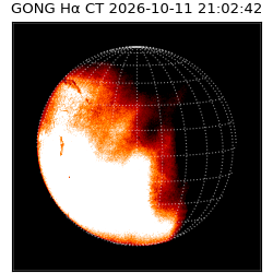 gong - 2026-10-11T21:02:42