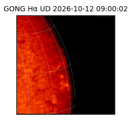 gong - 2026-10-12T09:00:02