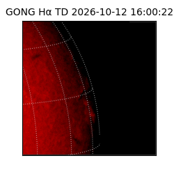 gong - 2026-10-12T16:00:22