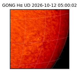 gong - 2026-10-12T05:00:02