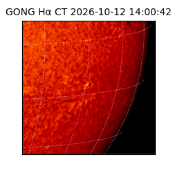gong - 2026-10-12T14:00:42