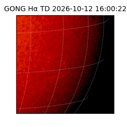 gong - 2026-10-12T16:00:22